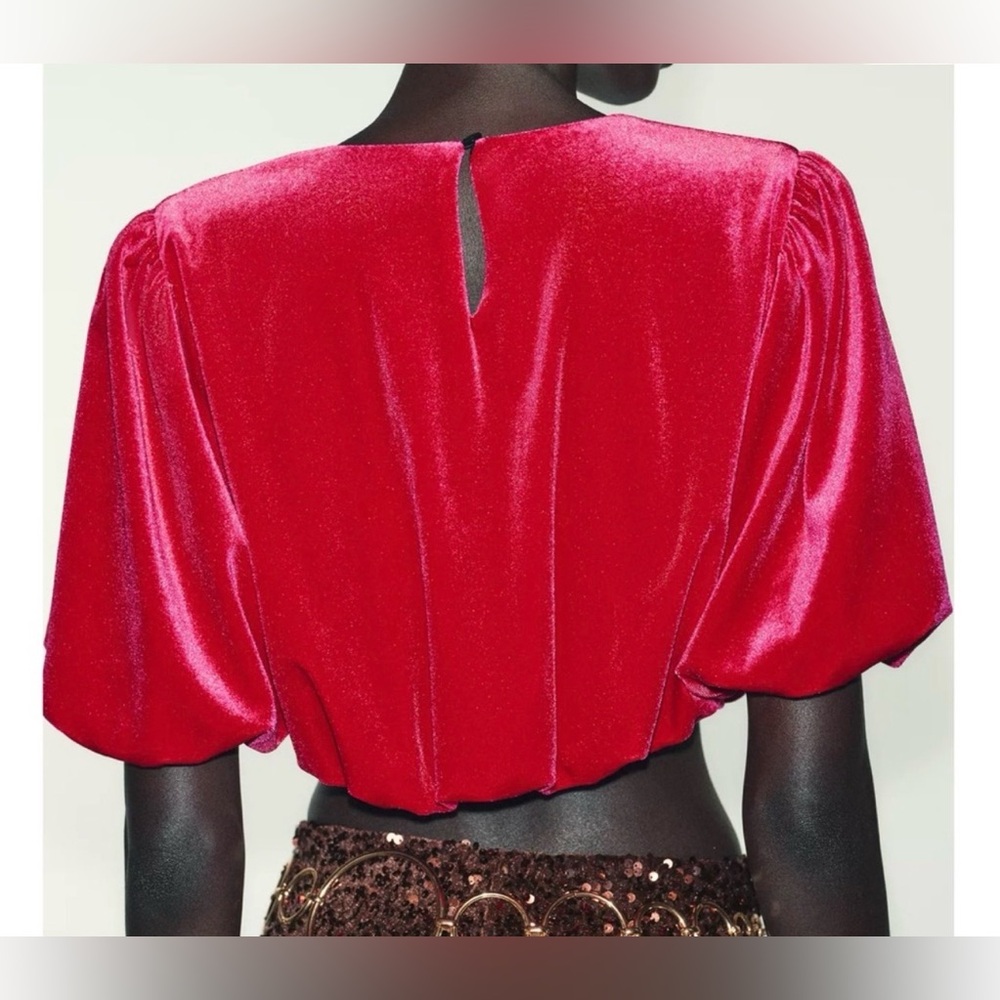 Zara Velvet Short Sleeve Crop Top